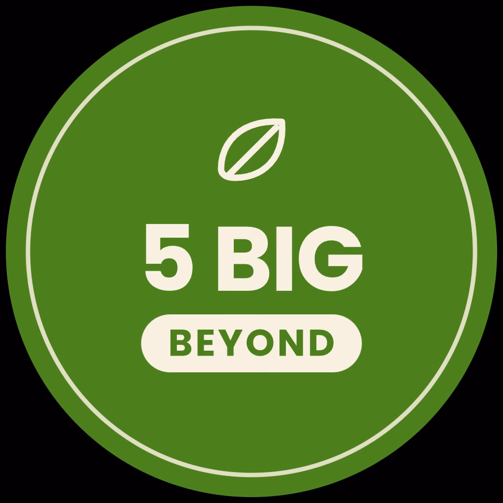 5 BIG BEYOND