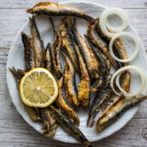 Öz Karadeniz Balıkçılık (Yenidoğan)